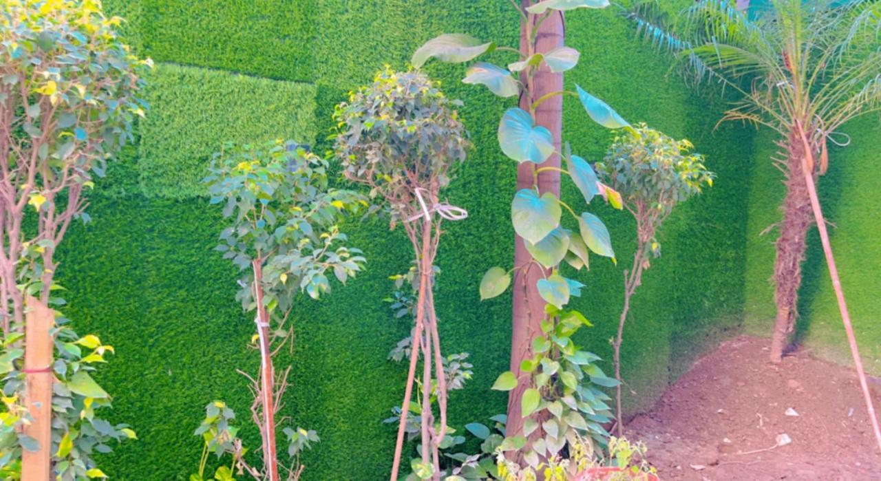 City View With Garden -5 Mins Walk From Golden Temple Amritsar Exteriér fotografie